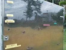 下野谷遺跡公園