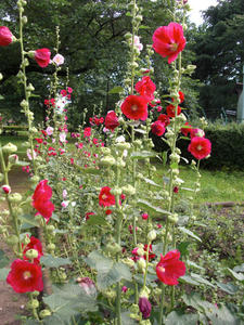みほり広場公園
