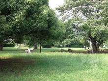 みほり広場公園