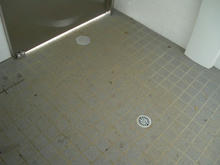 清瀬金山緑地公園多目的トイレ