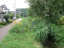 清瀬せせらぎ道