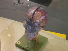 日本科学未来館 5階展示ルーム