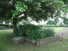 下里本邑遺跡公園