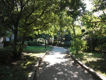 グリーンパーク遊歩道