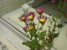 本多公民館 1階トイレ