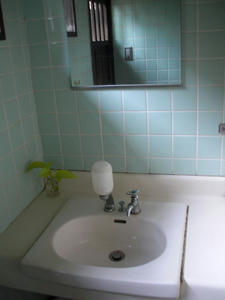 城山公園古民家園 外トイレ