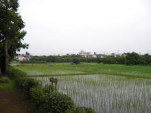 城山公園古民家園