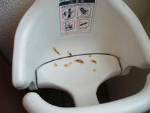 東福生駅西口公衆トイレ