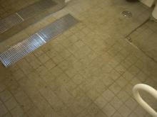 小金井公園 ユーカリ広場多目的トイレ