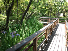 本郷給水所公苑