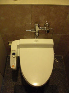 遊就館 玄関ホールトイレ