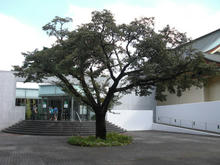 江戸東京たてもの園