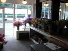 江戸東京たてもの園 花一生花店