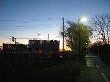 向台町店付近の多摩湖自転車道