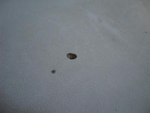 東口中央公園トイレ