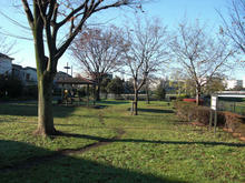 小山れんげ公園