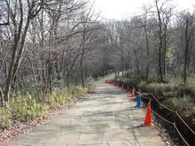野山北公園　遺跡