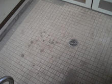 野山北公園　グランド広場多目的トイレ