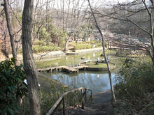 野山北公園　グランド広場池