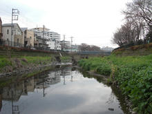 野川橋