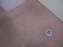 ウエルシア府中天神店 外多目的トイレ