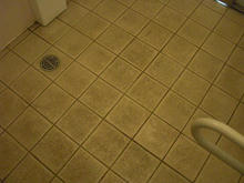 神代植物園分園 グリーンギャラリー多目的トイレ(NEW)