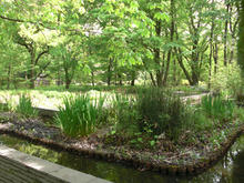 神代植物園分園 グリーンギャラリー