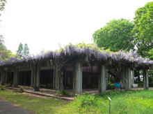 神代植物園分園 グリーンギャラリー