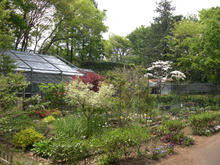 神代植物園分園 グリーンギャラリートイレ