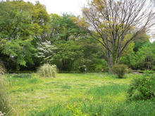 神代植物園分園 グリーンギャラリー