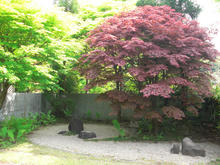 神代植物園分園 グリーンギャラリー