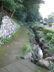 下の川緑地せせらぎ遊歩道公園