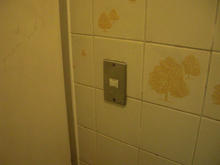 わかぐさ公園 中央トイレ