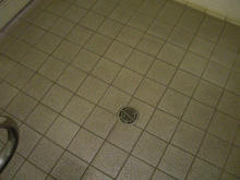 わかぐさ公園 中央多目的トイレ