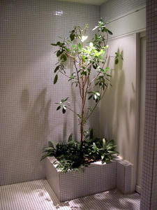 新宿マルイ本館　地下1階トイレ