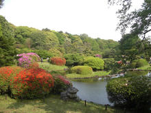 東京大学総合博物館小石川分館