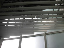 東京大学総合博物館小石川分館 1階多目的トイレ