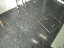 東京大学総合博物館小石川分館 1階多目的トイレ