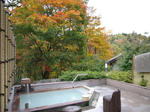 IMGP1161.JPG