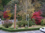 IMGP1225.JPG