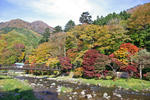 紅の吊橋