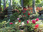 bot-pic5.jpg