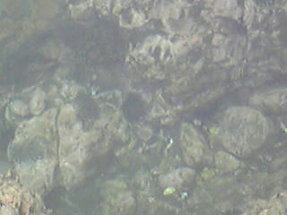 長崎鼻海岸2