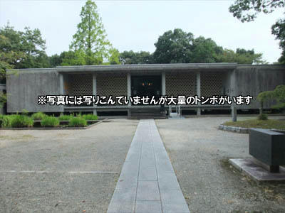 DSCF0044.jpg