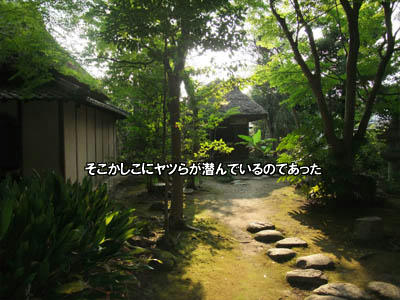 DSCF0092.jpg