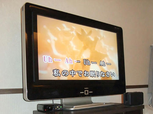 DSCF0167.JPG