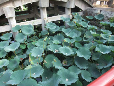 DSCF0815.jpg
