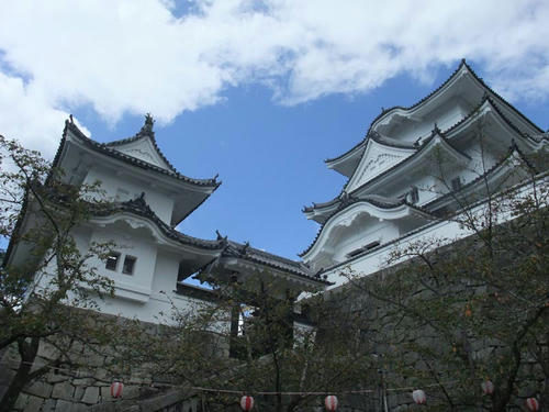DSCF0893.jpg