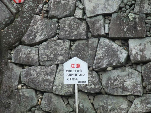 DSCF0894.jpg