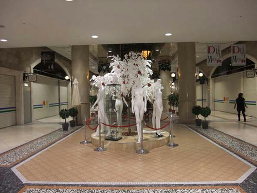 DSCF1061.jpg